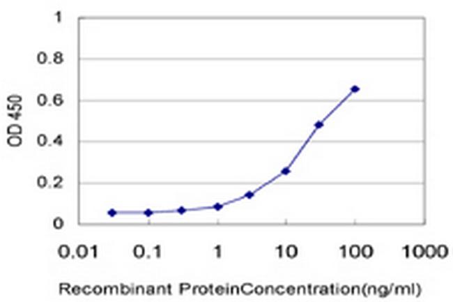 ZIC1 Antibody in ELISA (ELISA)