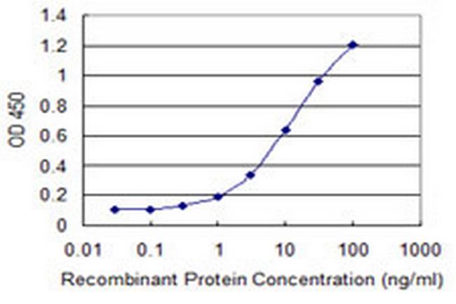 ZBTB25 Antibody in ELISA (ELISA)