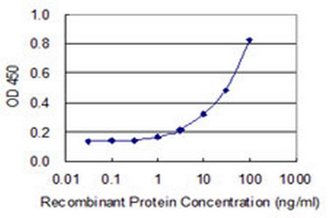 ZNF155 Antibody in ELISA (ELISA)