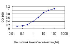LRP8 Antibody in ELISA (ELISA)