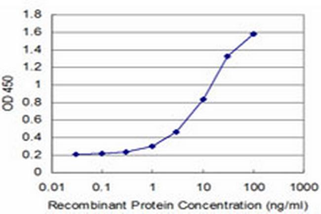 BSND Antibody in ELISA (ELISA)