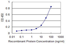 PAX8 Antibody in ELISA (ELISA)