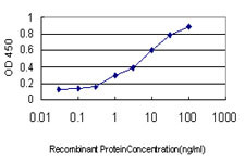 USP5 Antibody in ELISA (ELISA)