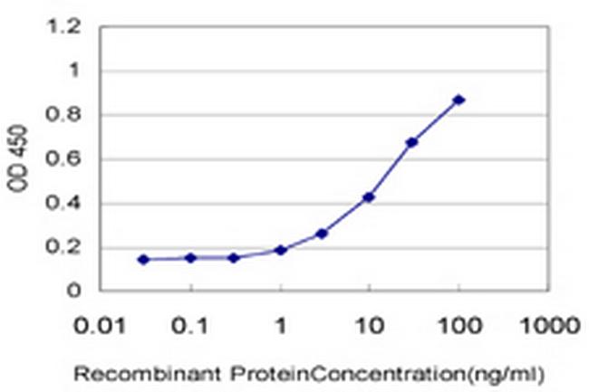TCL1A Antibody in ELISA (ELISA)