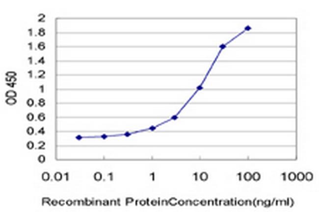 RND2 Antibody in ELISA (ELISA)