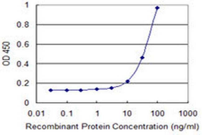 EOMES Antibody in ELISA (ELISA)