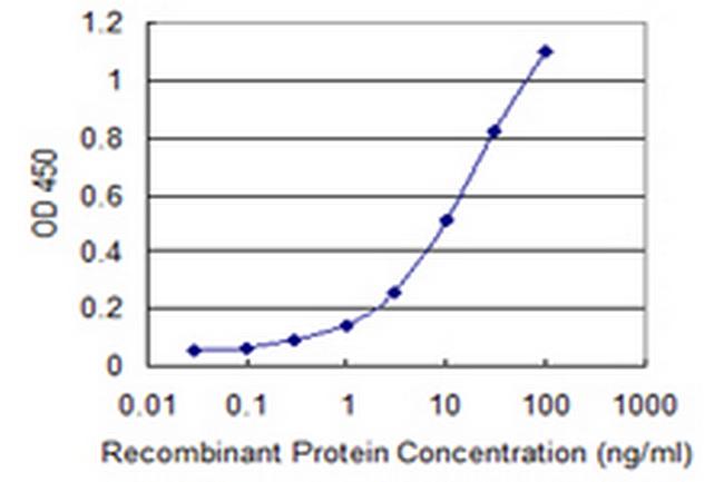 HIST1H2AC Antibody in ELISA (ELISA)