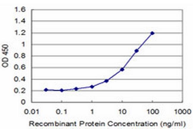 SPOP Antibody in ELISA (ELISA)