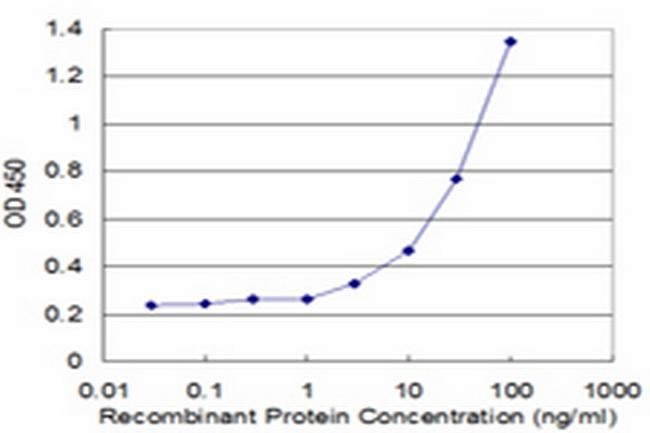 MMP23B Antibody in ELISA (ELISA)