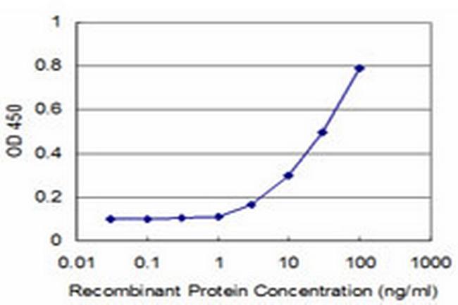 GCM1 Antibody in ELISA (ELISA)