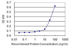 KCNK5 Antibody in ELISA (ELISA)