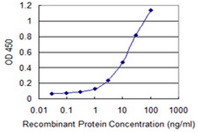 EIF3S3 Antibody in ELISA (ELISA)