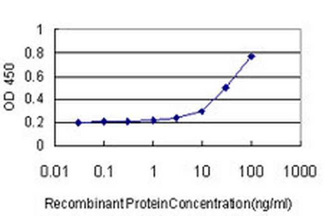 B3GALT2 Antibody in ELISA (ELISA)