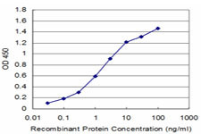 FADD Antibody in ELISA (ELISA)