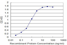 FADD Antibody in ELISA (ELISA)