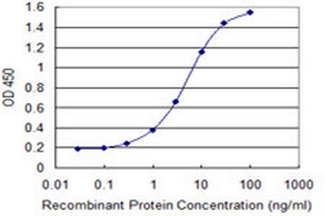 SCEL Antibody in ELISA (ELISA)