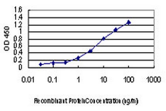 CDKL1 Antibody in ELISA (ELISA)