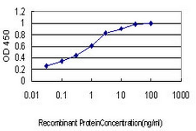 KSR Antibody in ELISA (ELISA)