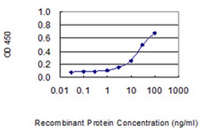 P11 Antibody in ELISA (ELISA)