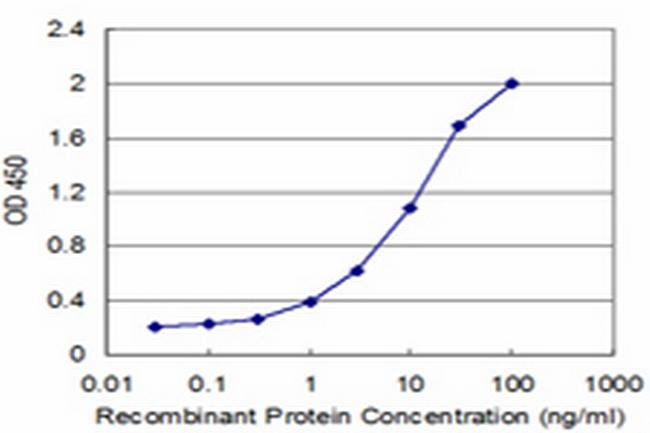 SLC7A7 Antibody in ELISA (ELISA)