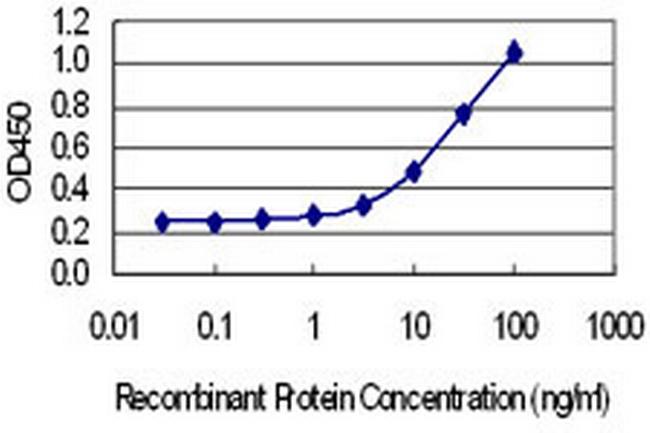 SYT7 Antibody in ELISA (ELISA)