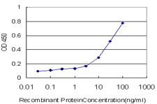 ARHGEF1 Antibody in ELISA (ELISA)
