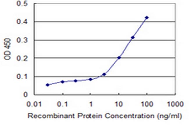 ATG12 Antibody in ELISA (ELISA)