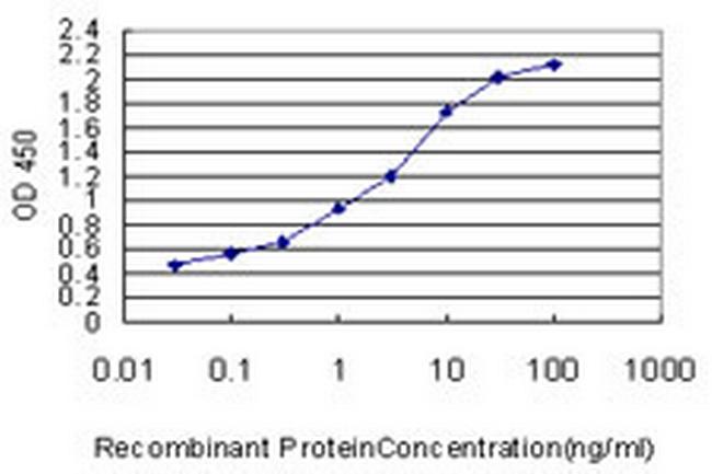 SYNGR2 Antibody in ELISA (ELISA)