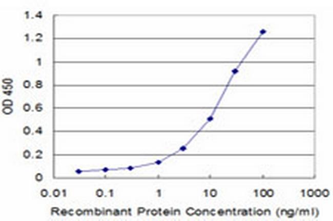 EXO1 Antibody in ELISA (ELISA)
