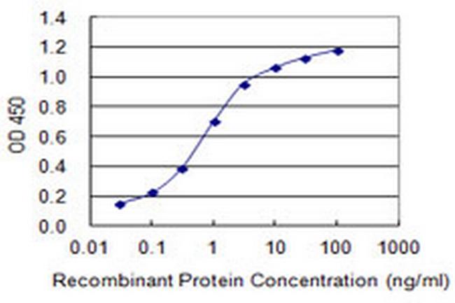 SLC24A1 Antibody in ELISA (ELISA)