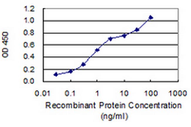 DEDD Antibody in ELISA (ELISA)