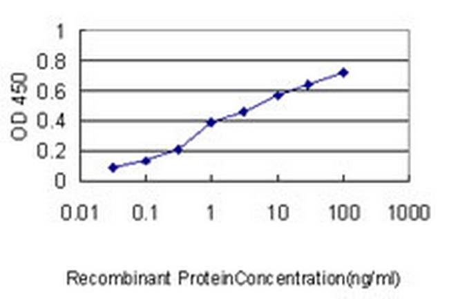 LRRFIP1 Antibody in ELISA (ELISA)