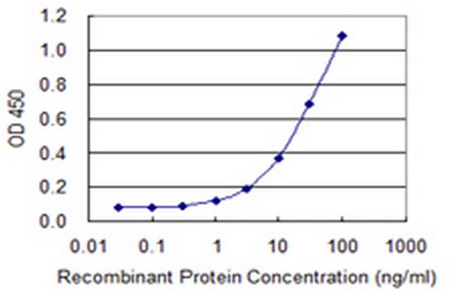 LRAT Antibody in ELISA (ELISA)