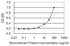 NOG Antibody in ELISA (ELISA)