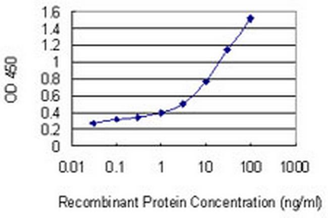 TM9SF2 Antibody in ELISA (ELISA)