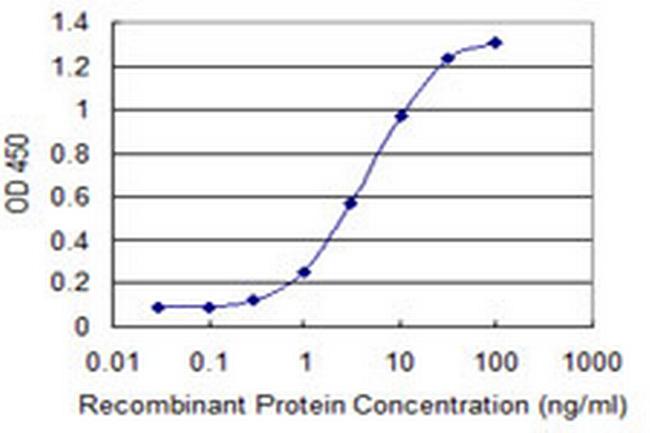 CDY2A Antibody in ELISA (ELISA)
