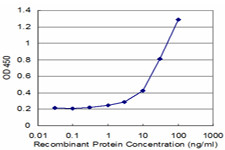 ITM2B Antibody in ELISA (ELISA)