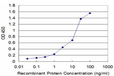 GSTO1 Antibody in ELISA (ELISA)