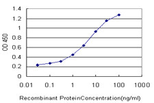 ATG5 Antibody in ELISA (ELISA)
