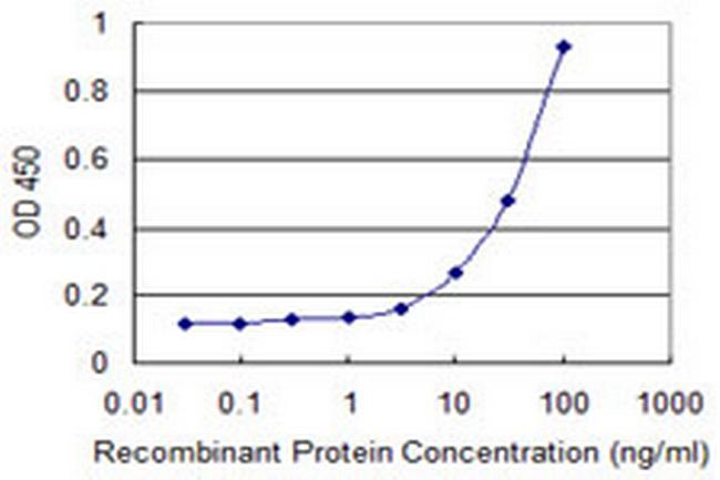 MAGED1 Antibody in ELISA (ELISA)