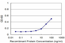 AKAP12 Antibody in ELISA (ELISA)