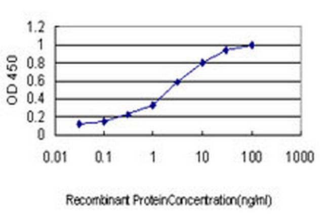 RIN1 Antibody in ELISA (ELISA)