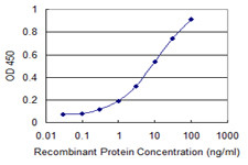 ULK2 Antibody in ELISA (ELISA)