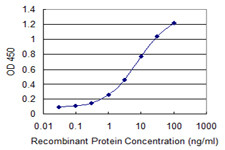 ULK2 Antibody in ELISA (ELISA)