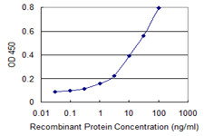 ULK2 Antibody in ELISA (ELISA)