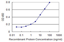 ULK2 Antibody in ELISA (ELISA)