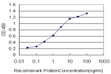 ULK2 Antibody in ELISA (ELISA)