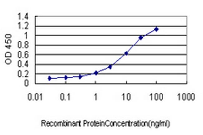SCAMP3 Antibody in ELISA (ELISA)