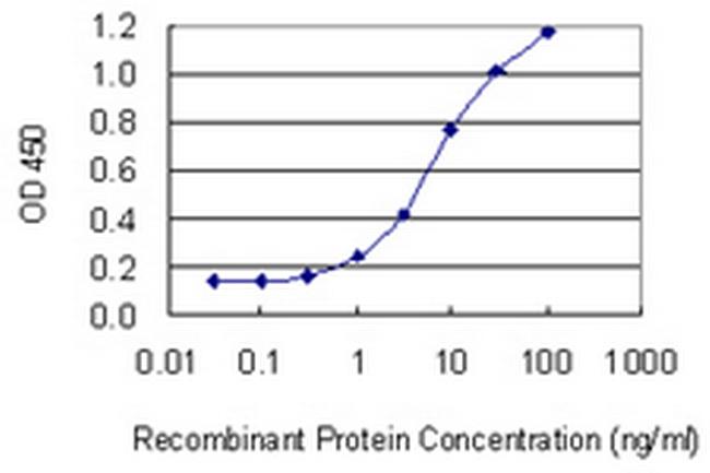 ARPC5 Antibody in ELISA (ELISA)