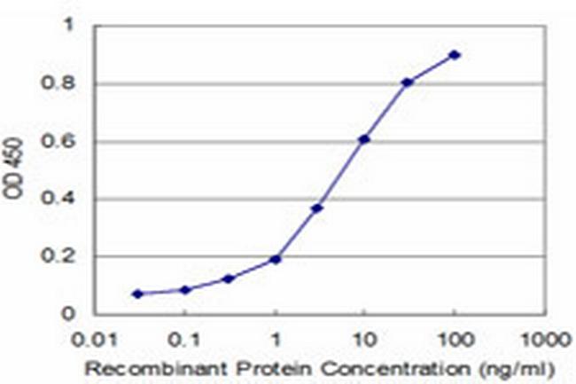 MPHOSPH10 Antibody in ELISA (ELISA)